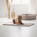 havaneser.shop Teddy-Hundedecke in Beige, flauschige und wattierte Unterlage für Hunde auf hellem Boden