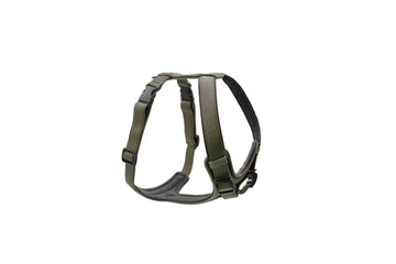 Leder Hundegeschirr verstellbar