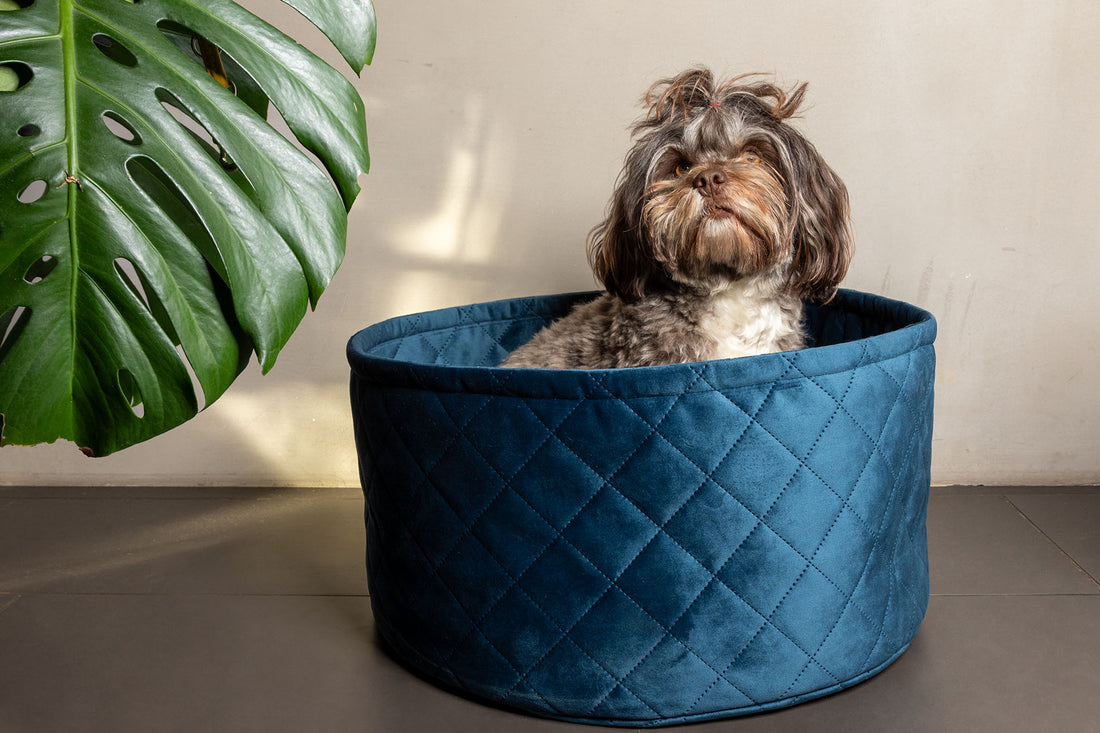 Hundekorb Caro - Samt