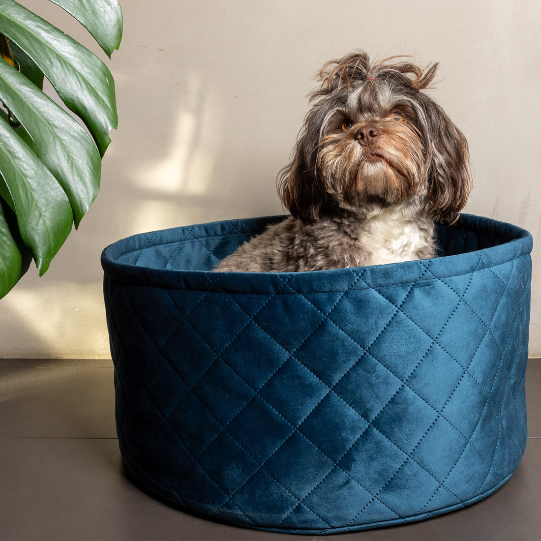havaneser.shop Hundekorb Caro aus blauem Samt mit eleganter Rautensteppung für kleine Hunde