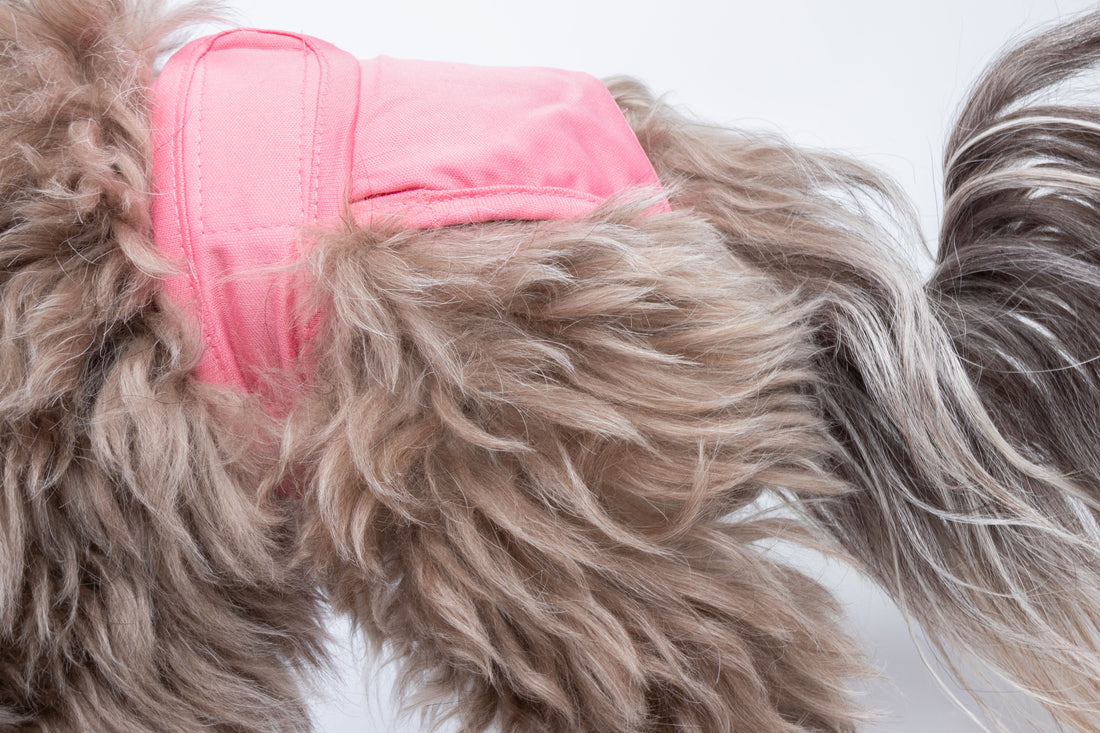 Fluff Fresh Läufigkeitshöschen