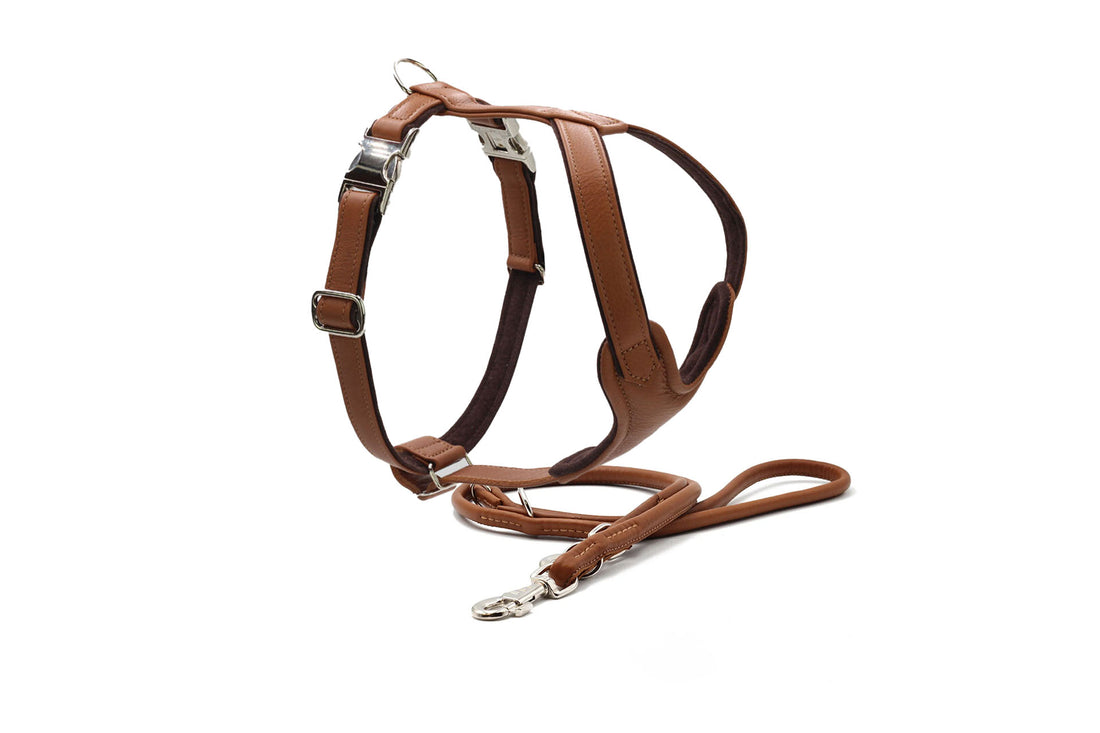 Walk & Style | Ledergeschirr und Lederleine -Set