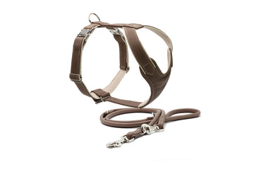 Walk & Style | Ledergeschirr und Lederleine -Set