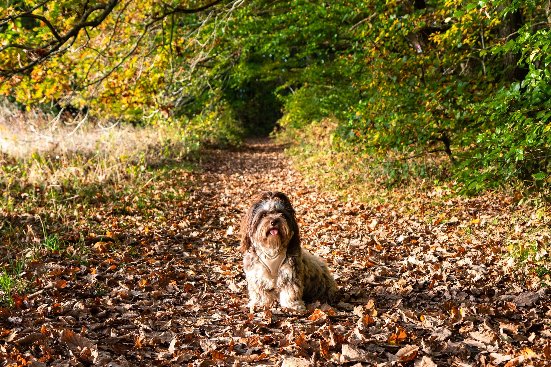 slider image slider_item_4dEETf