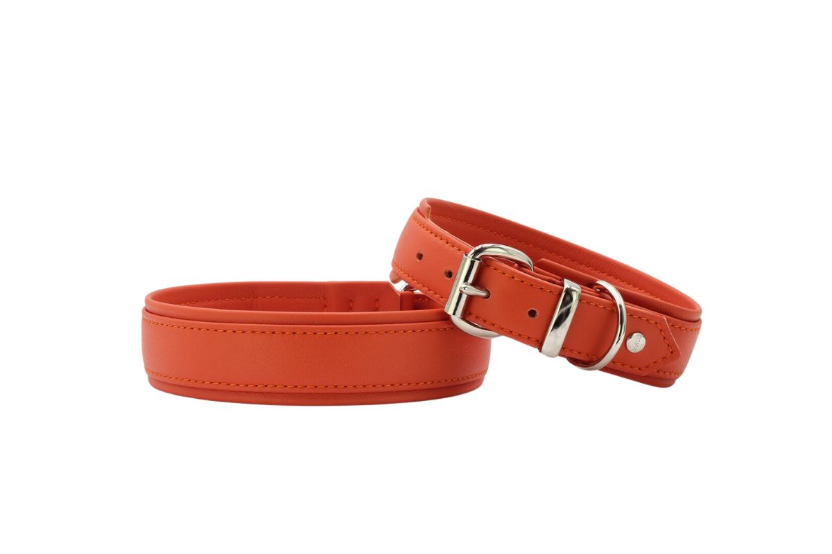 Lederhalsband Color Pop