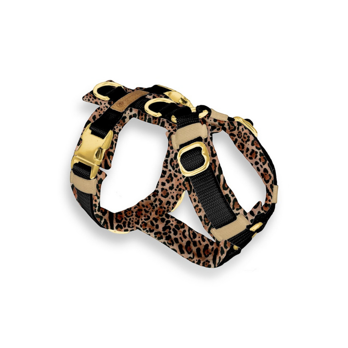 havaneser.shop Softshell Y-Geschirr für Hunde mit Leopardenmuster, anatomischem Schnitt und goldenen Metallringen