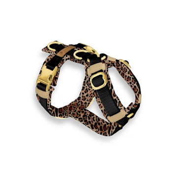 havaneser.shop Softshell Y-Geschirr für Hunde mit Leopardenmuster, anatomischem Schnitt und goldenen Metallringen