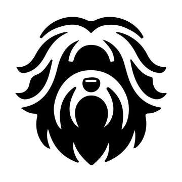 Walk & Style Bundle - Leder