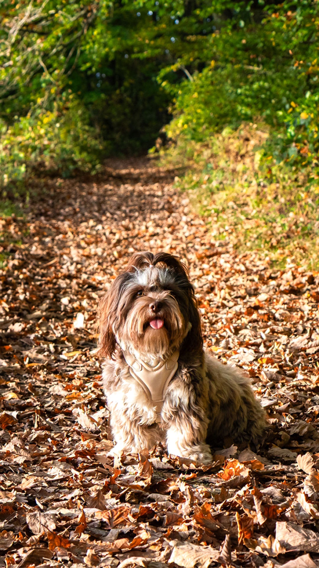 slider image slider_item_4dEETf