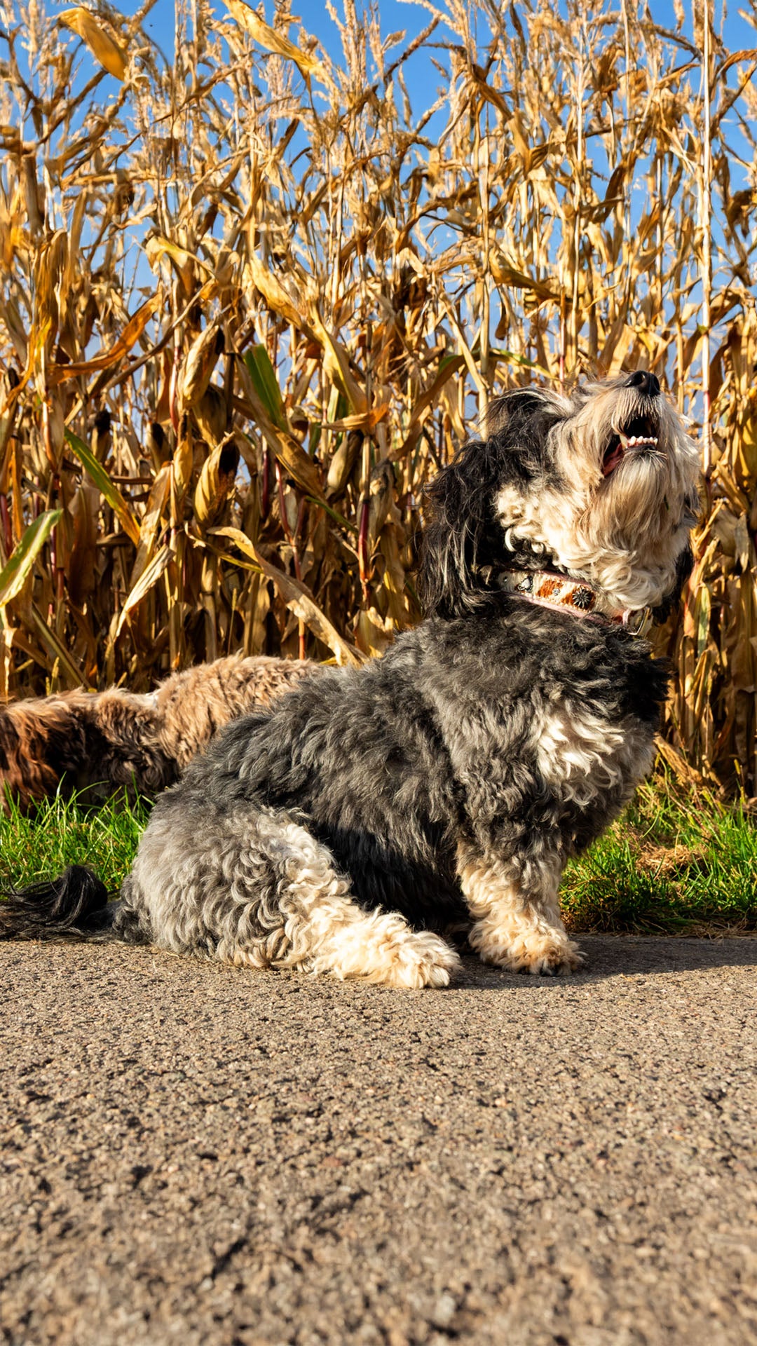 slider image 1621243260e1af0c20-1