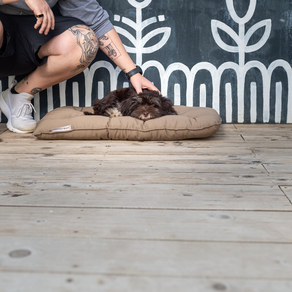 havaneser.shop orthopädisches Country Kissen in Beige, auf dem ein kleiner brauner Hund auf einer Holzterrasse ruht