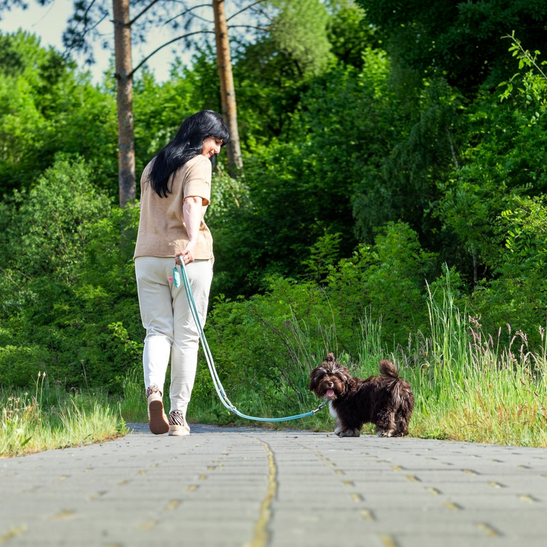 havaneser.shop rundgenähte braune Nappalederleine mit silbernen Karabinern für Hunde