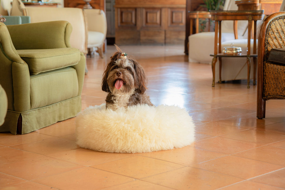 slider image 1621243260e1af0c20-0