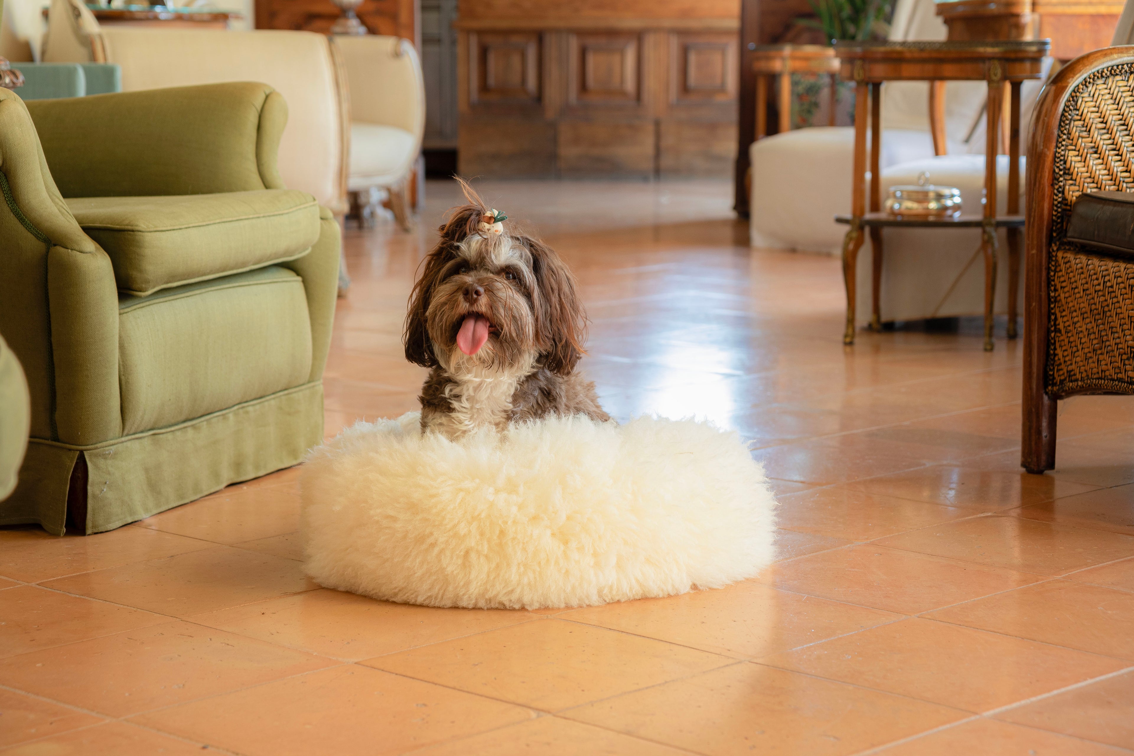 slider image 1621243260e1af0c20-0
