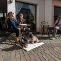 havaneser.shop Hundereisedecke aus beigem Cord, rutschfest und faltbar, unter zwei Hunden in einem Straßencafé