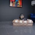 havaneser.shop Hundebett Buddelbox Luchs mit weichem Webpelz und Havaneser Hund in einem modernen Wohnzimmer