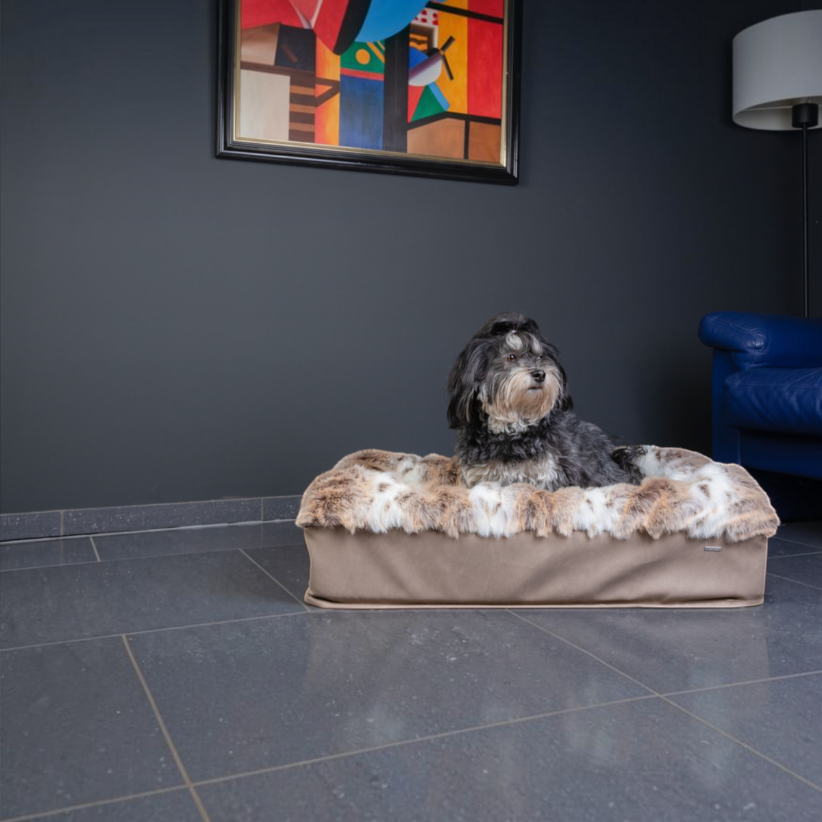 havaneser.shop Hundebett Buddelbox Luchs mit weichem Webpelz und Havaneser Hund in einem modernen Wohnzimmer