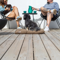 havaneser.shop Orthopädisches Country Kissen in Braun auf einer Terrasse mit einem Hund und seinen Besitzern