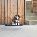 havaneser.shop Hundedecke aus weichem Webpelz in Grau, auf der ein kleiner schwarz-weißer Hund im Freien sitzt.