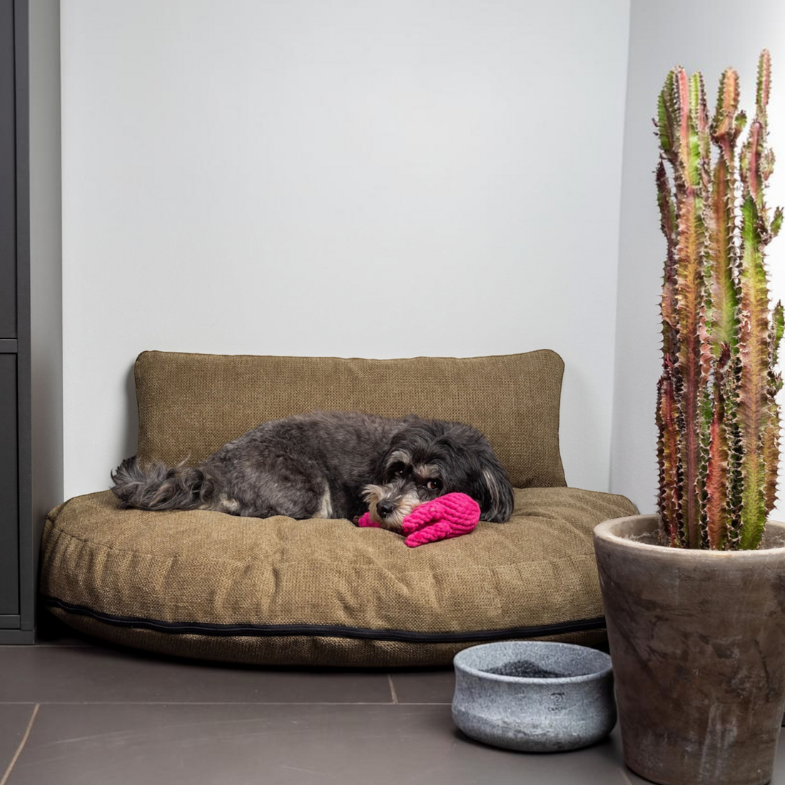 havaneser.shop Design Loungekissen in Beige mit weichem, wasserabweisendem Bezug und extra gepolsterter Matratze