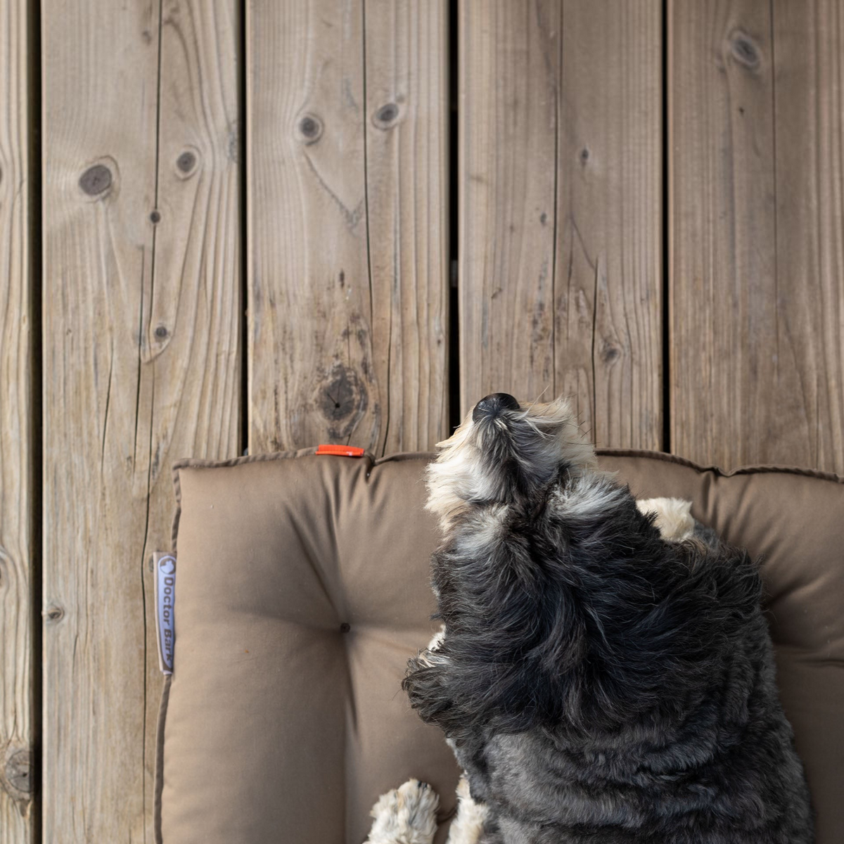 havaneser.shop orthopädisches Country Kissen in Braun mit liegendem Hund auf einer Holzterrasse