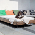 Zwei Havaneser Hunde sitzen auf einer beigen havaneser.shop Fleece-Kuscheldecke auf einem Outdoor-Sofa.