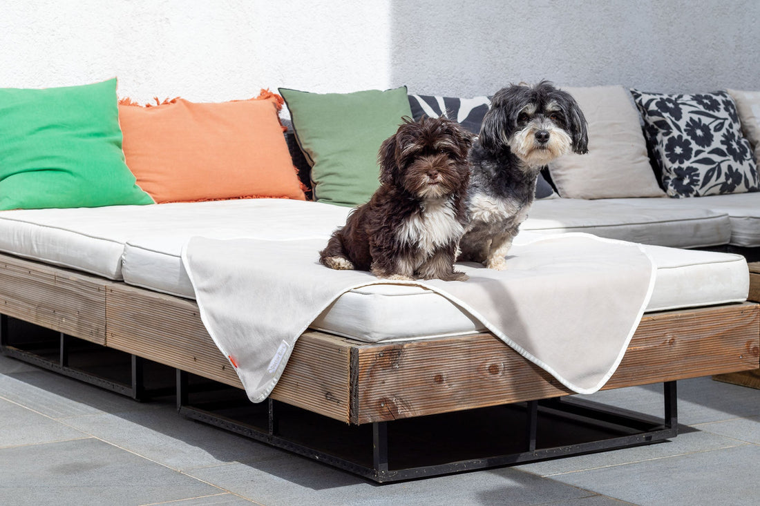 Fleece blanket