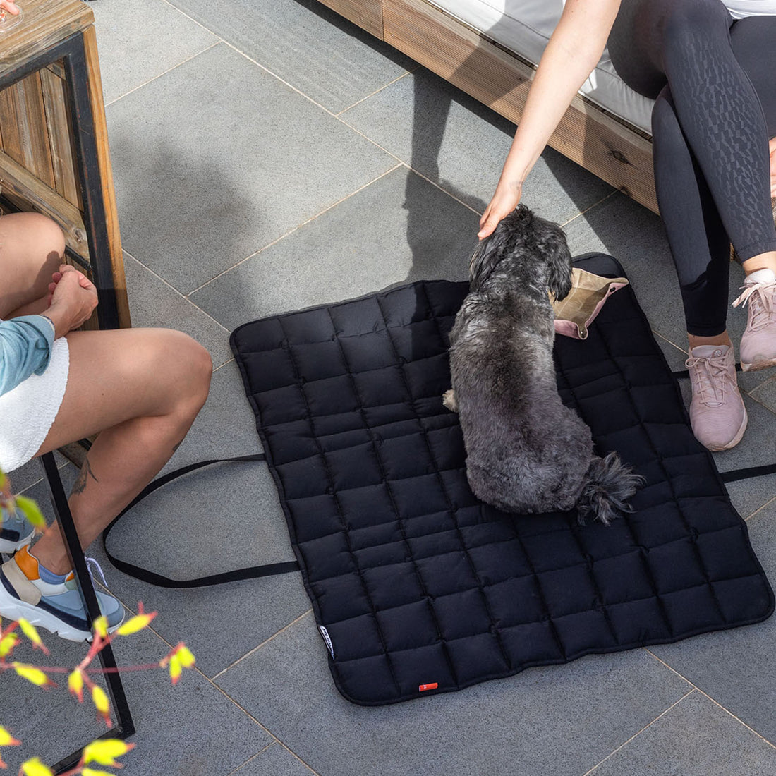 havaneser.shop Reisedecke TravelBag in Schwarz als praktische, gepolsterte Tragetasche für Hunde