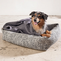 havaneser.shop Hundebett Siena mit grauer Decke und einem Australian Shepherd auf einem strukturierten Stoffbett