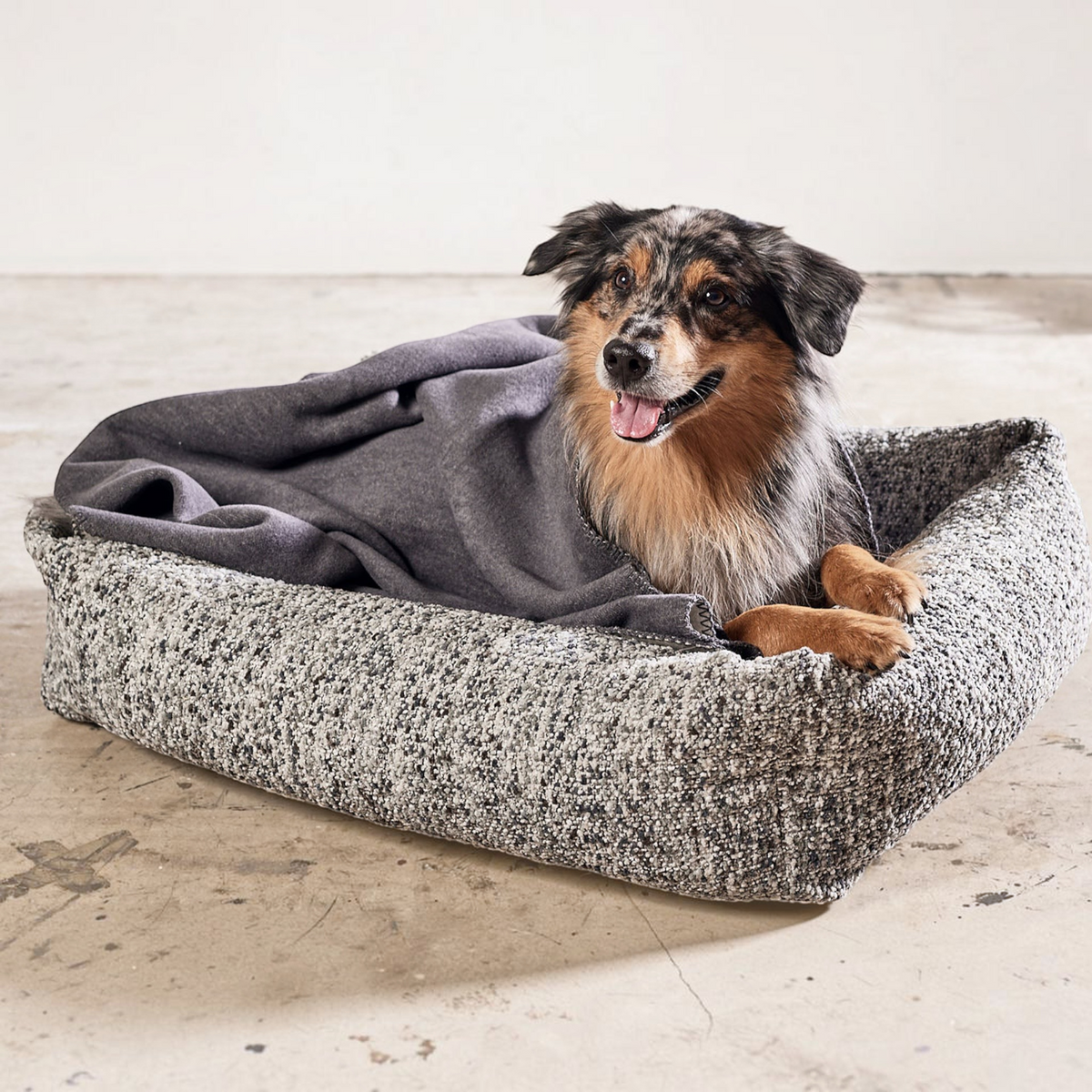 havaneser.shop Hundebett Siena mit grauer Decke und einem Australian Shepherd auf einem strukturierten Stoffbett