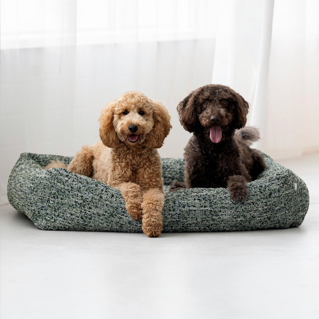 havaneser.shop Hundebett Siena in Grau mit strukturierter Oberfläche und erhöhtem Rand für hohen Liegekomfort