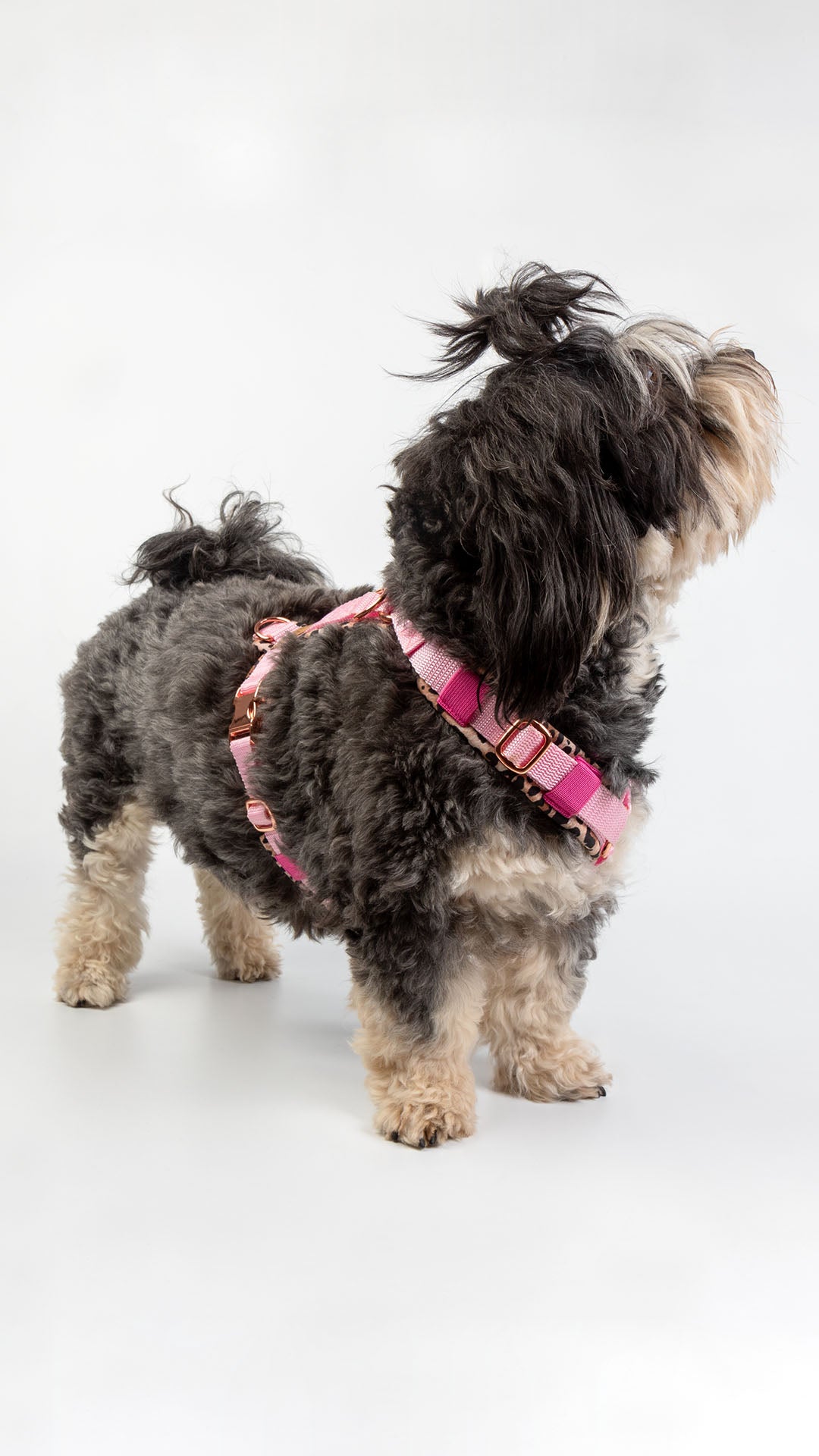 slider image slider_item_dKthLT