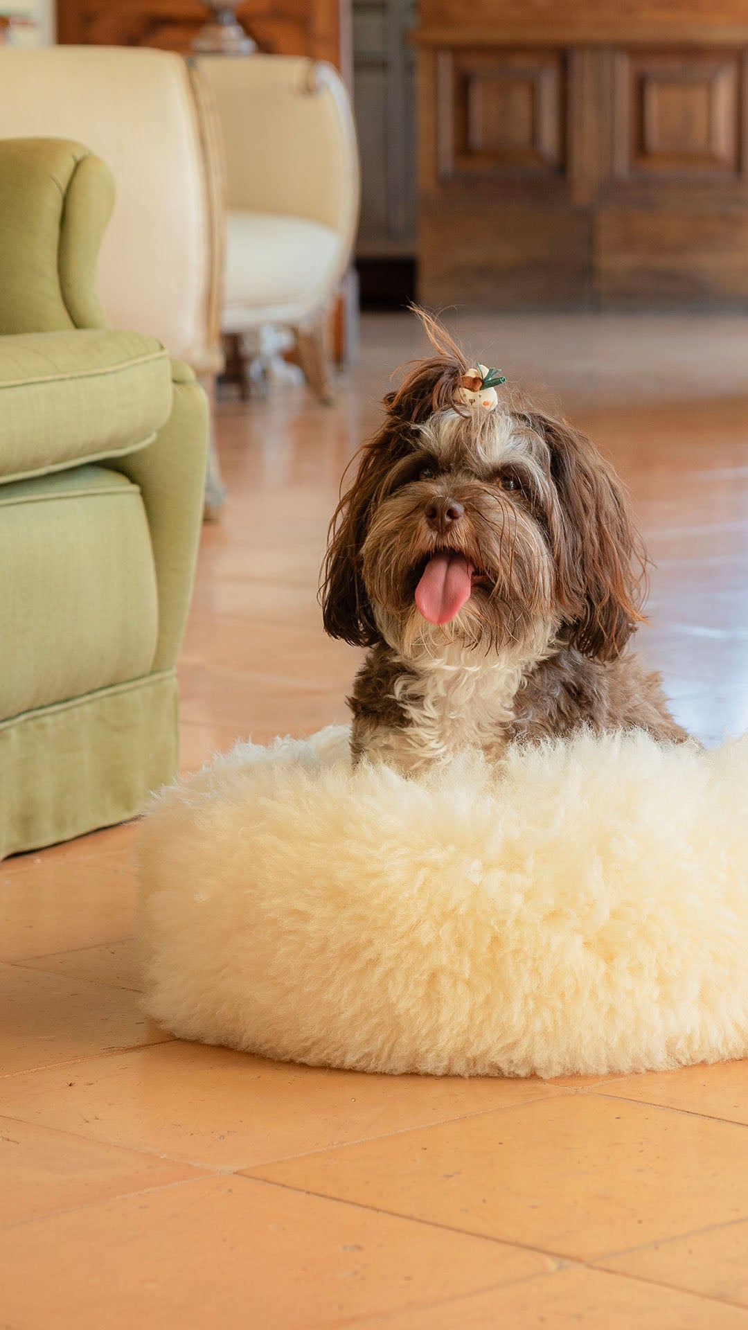 slider image 1621243260e1af0c20-0