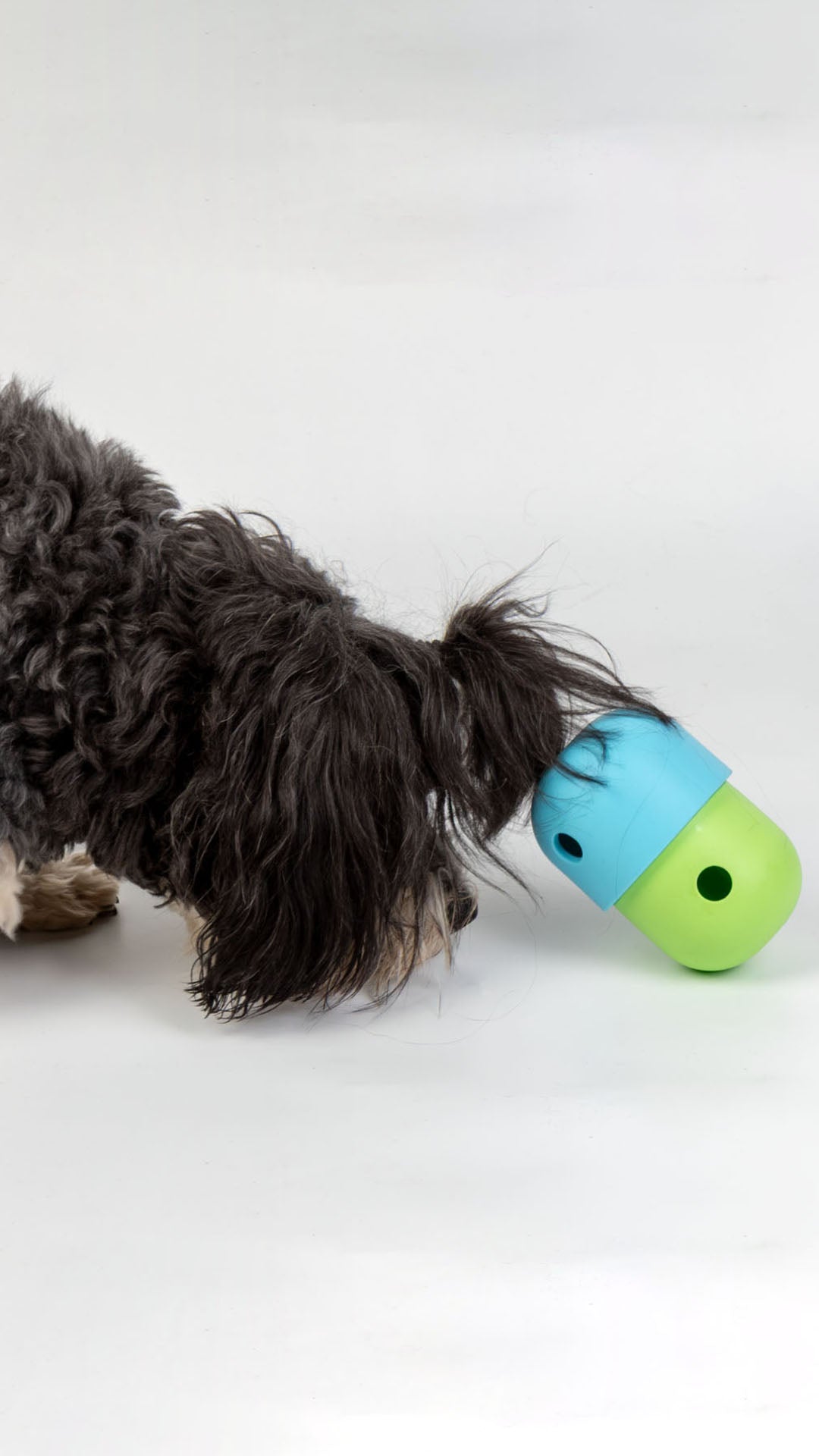slider image 1621243260e1af0c20-2