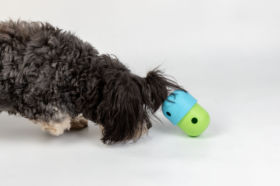 slider image 1621243260e1af0c20-2
