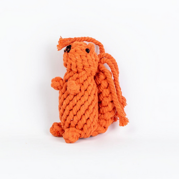 havaneser.shop Seilspielzeug Eichhörnchen aus orangefarbener Baumwolle mit buschigem Schwanz für kleine Hunde