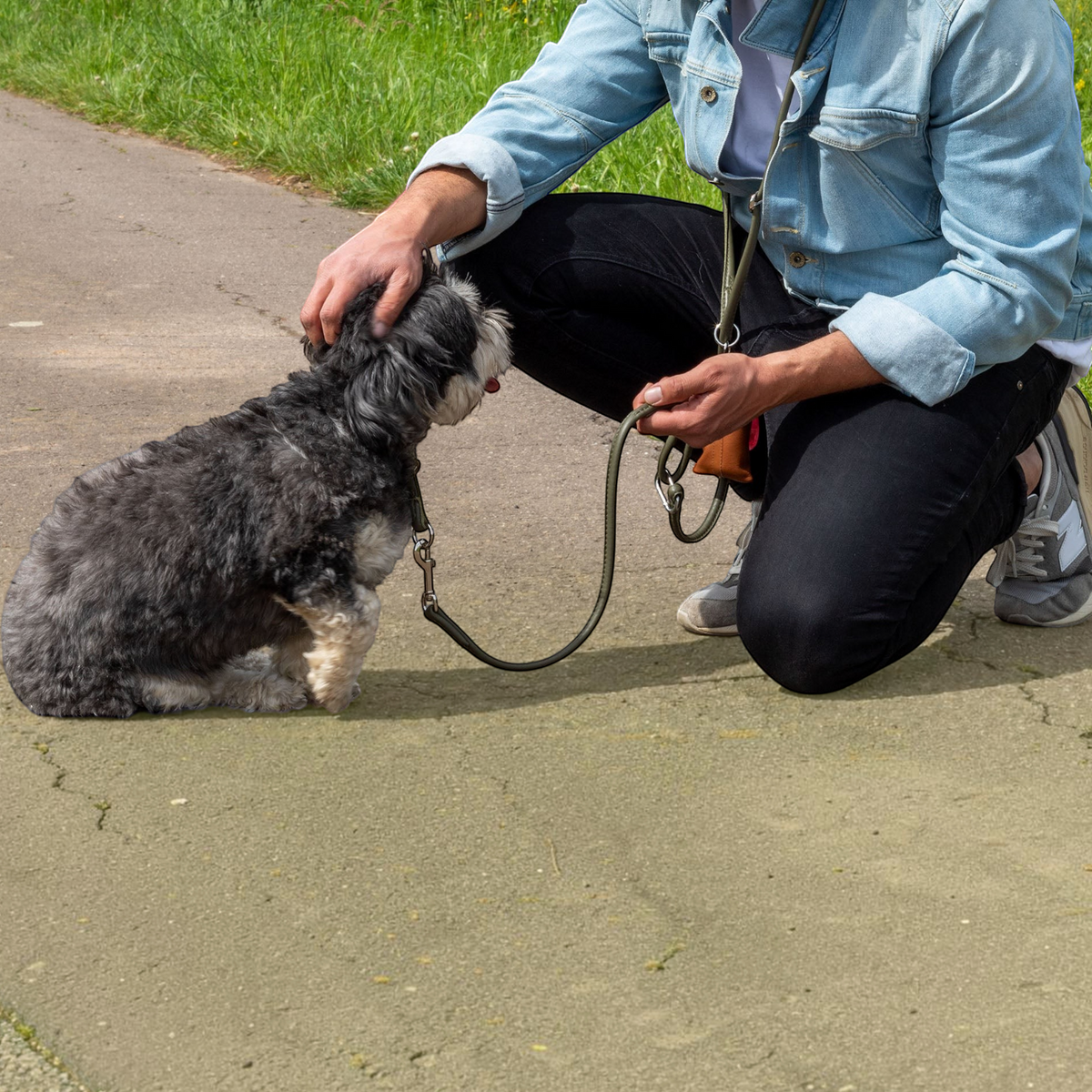 havaneser.shop rundgenähte Leder-Umhängeleine in Olivgrün, getragen als Schulterleine bei einem kleinen Hund