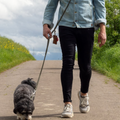 havaneser.shop rundgenähte Leder-Umhängeleine für kleine Hunde beim Spaziergang auf einem asphaltierten Weg