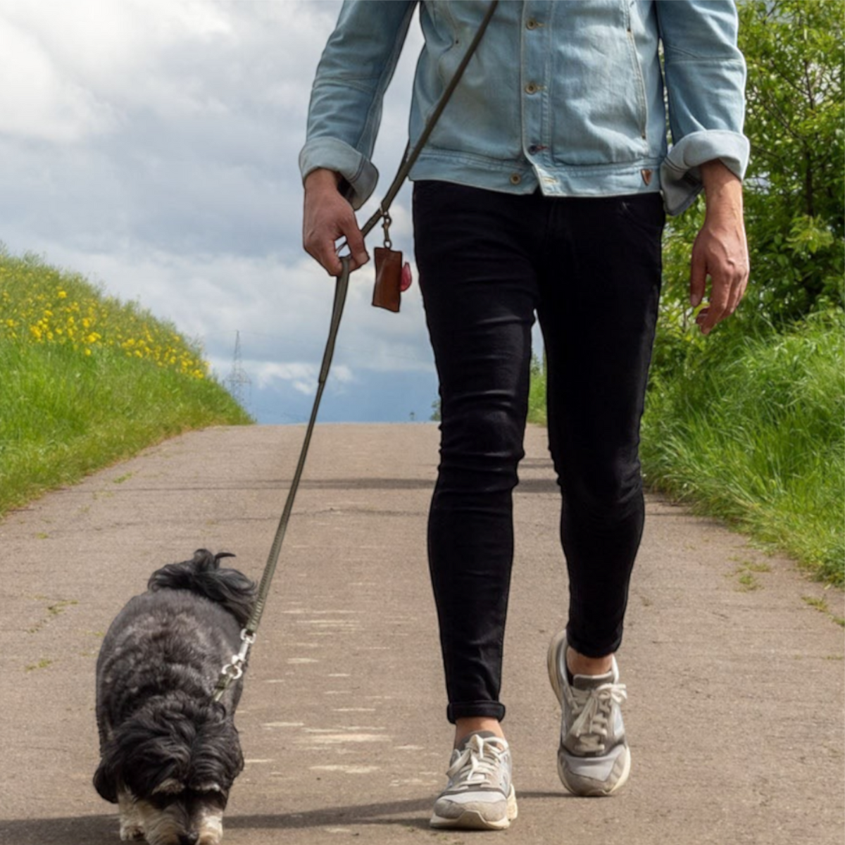 havaneser.shop rundgenähte Leder-Umhängeleine für kleine Hunde beim Spaziergang auf einem asphaltierten Weg